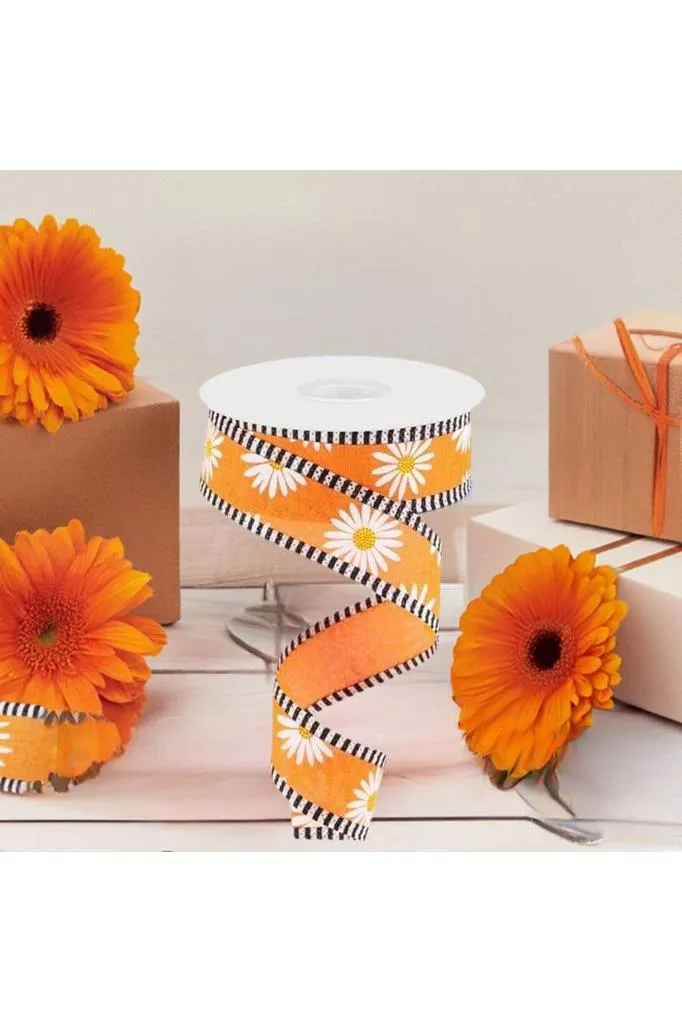 1.5" Daisy Stripe Royal Ribbon: New Orange (10 Yards)