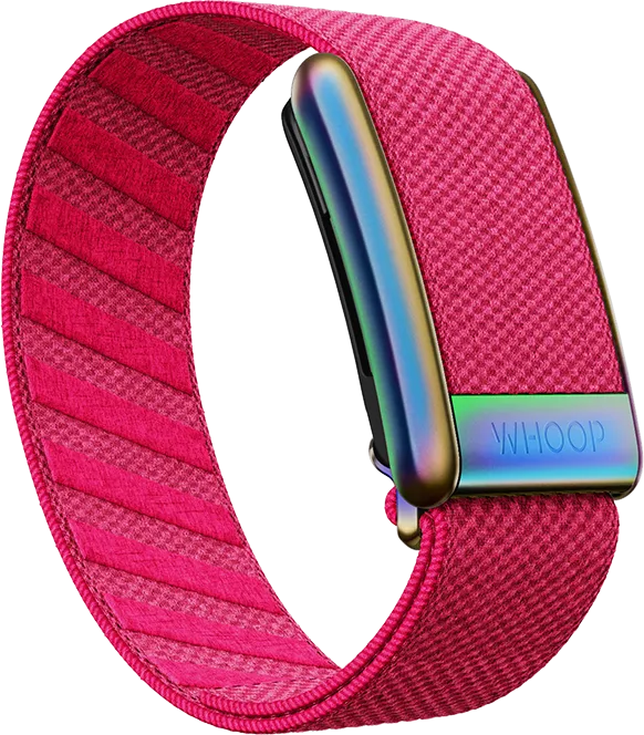 Fruit Punch SuperKnit Band
